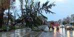 İstanbul'da şiddetli fırtına!  ağaçlar düştü