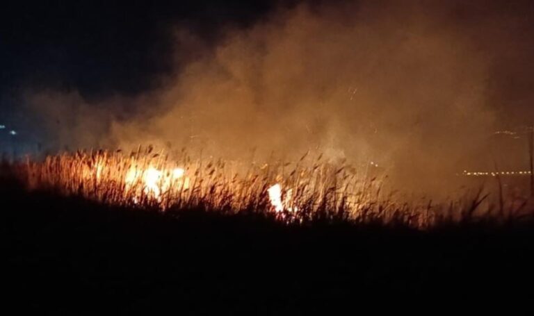 Göksu Deltası'nda Ateş: “Yüzlerce göçmen kuş yanmadan kaçmaya çalışıyor …” – Türkiye haberlerini kırmak